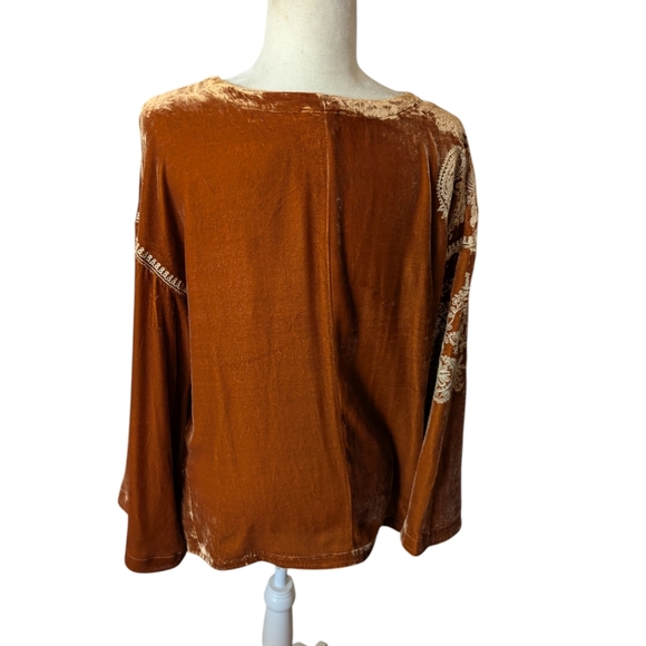 Sundance Dreams Harvest Caramel Orange Embroidered Velvet Tunic Whimsigoth XS - Picture 6 of 16